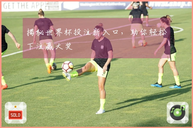 揭秘世界杯投注新入口，助你轻松下注赢大奖