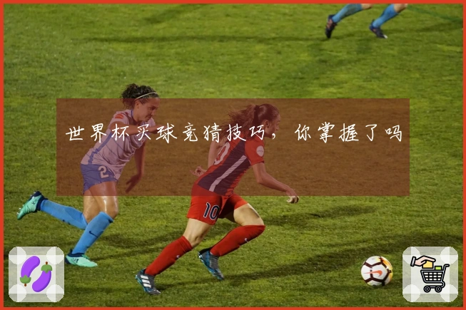 世界杯买球竞猜技巧，你掌握了吗