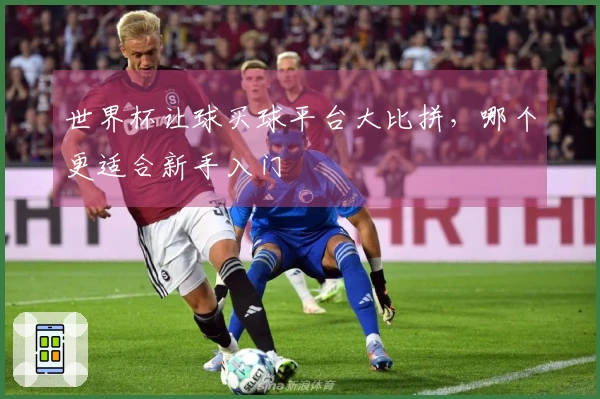 世界杯让球买球平台大比拼，哪个更适合新手入门