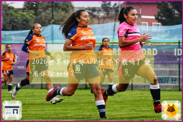 2026世界杯滚球APP值得下载吗？使用体验如何？