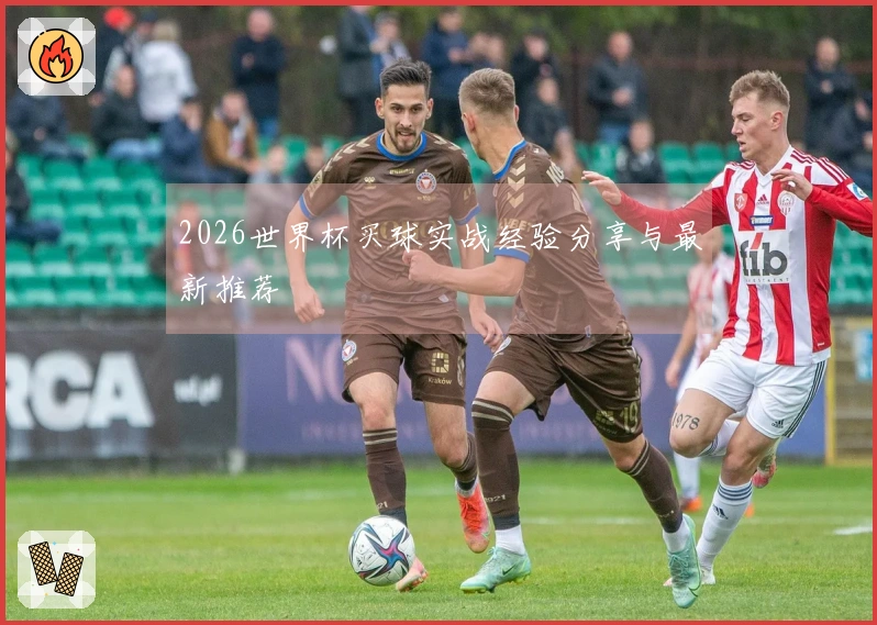 2026世界杯买球实战经验分享与最新推荐