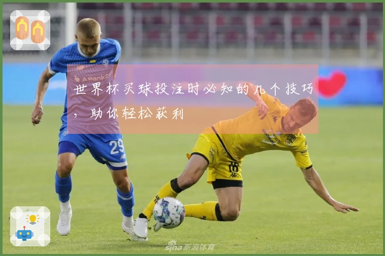 世界杯买球投注时必知的几个技巧，助你轻松获利
