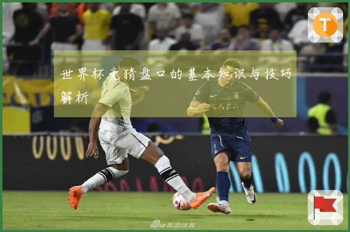 世界杯竞猜盘口的基本知识与技巧解析