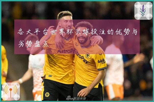 各大平台世界杯买球投注的优势与劣势盘点