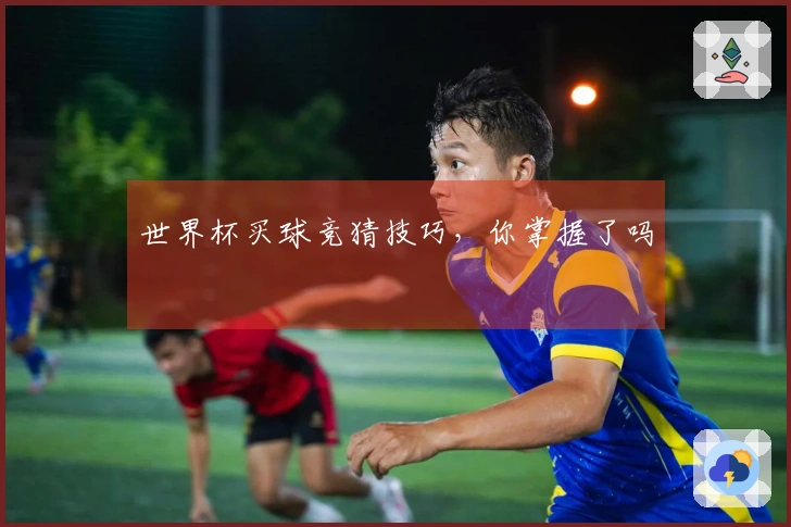 世界杯买球竞猜技巧，你掌握了吗