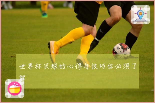 世界杯买球的心得与技巧你必须了解
